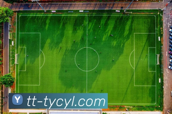 App Interface Preview